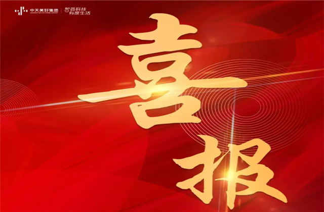 尊龙美好集团蝉联“2021长三角城市群房地产公司品牌价值TOP10”